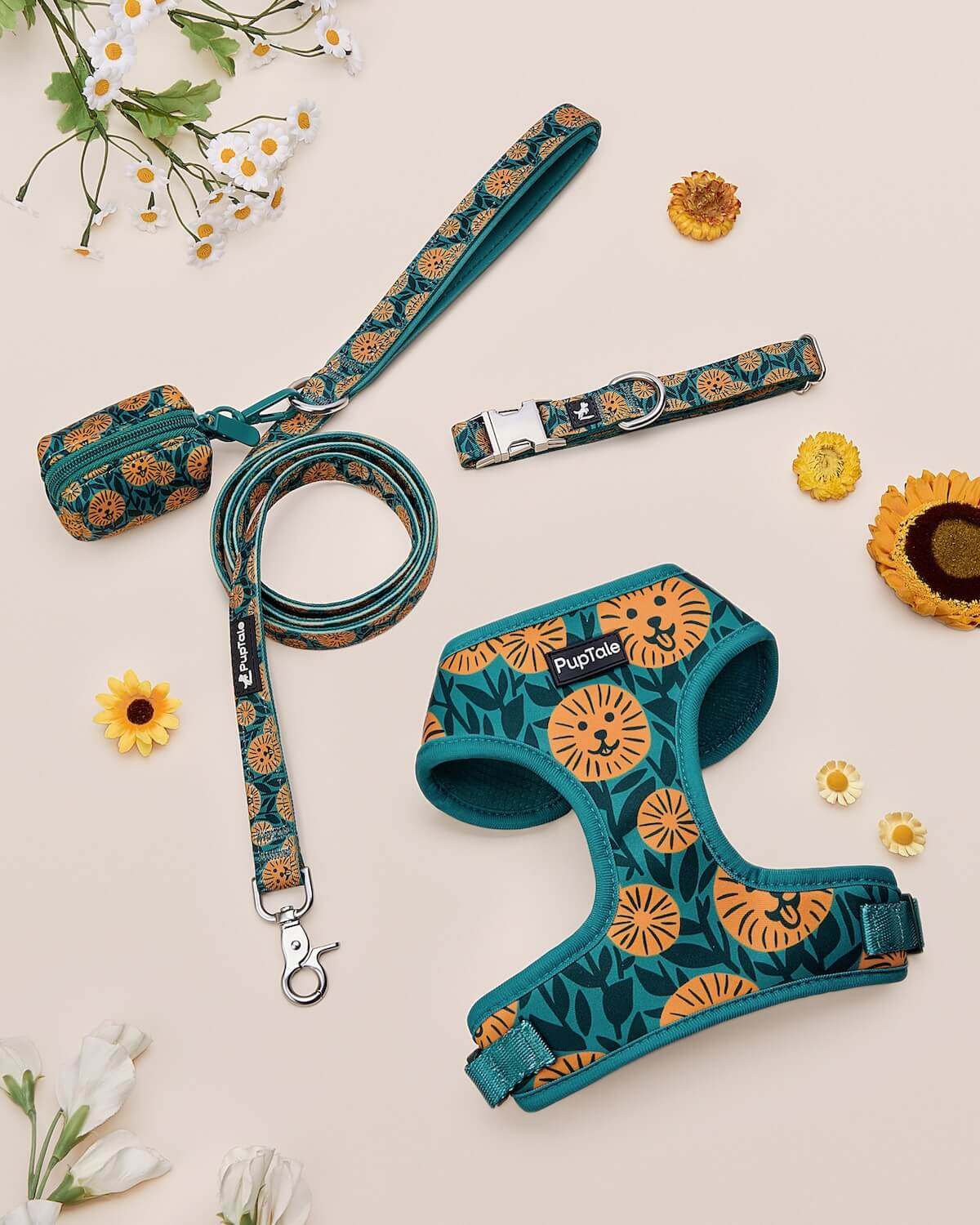 Spring Dog Walk Gear Collection