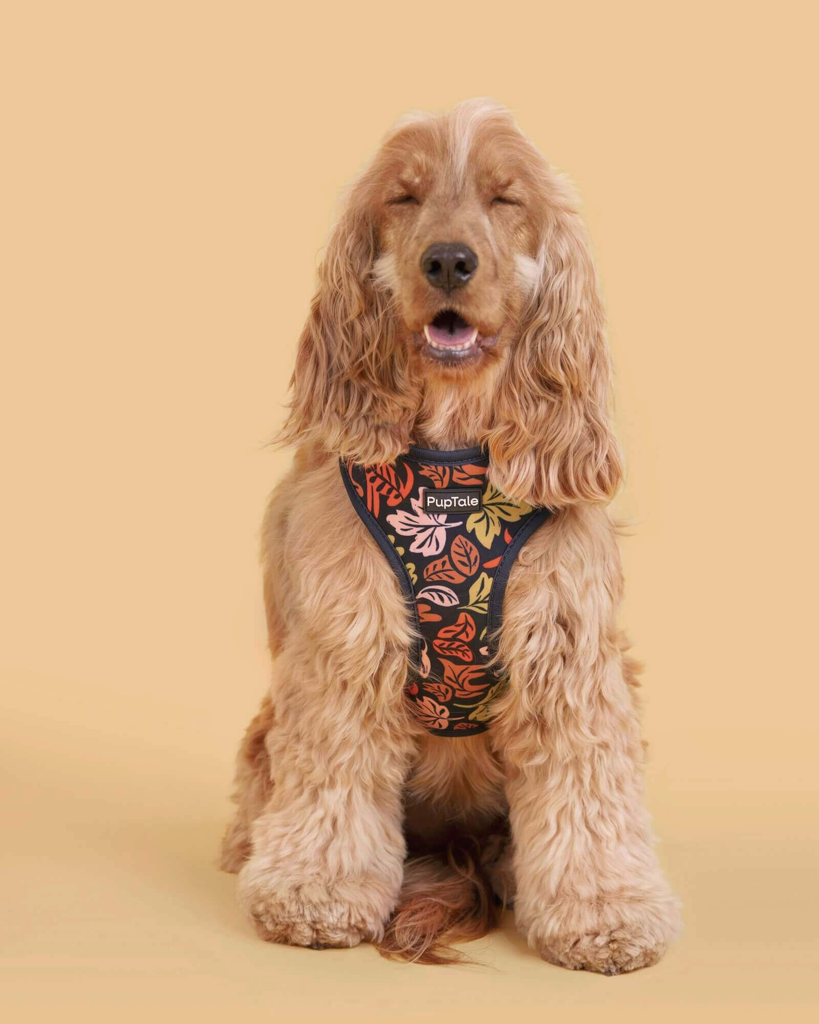 Adjustable Dog Harnesses