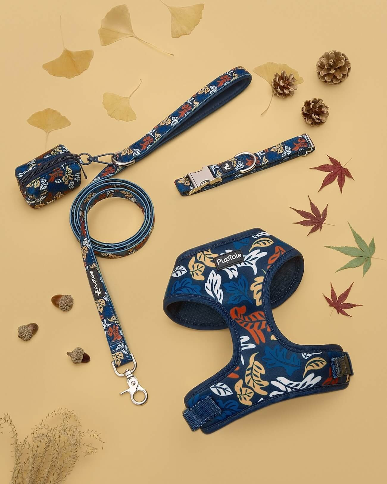 Fall Dog Walk Gear Collection