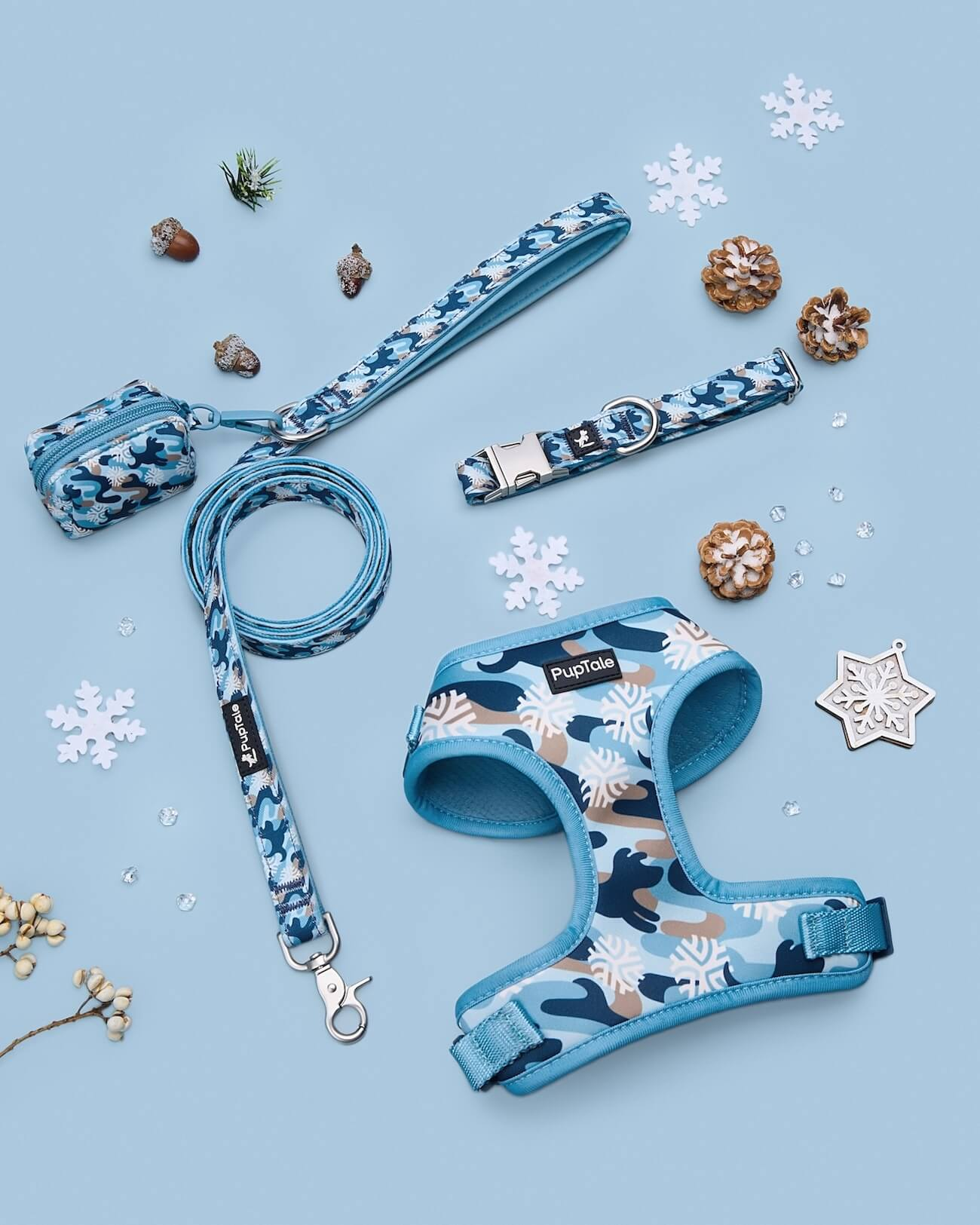 Winter Dog Walk Gear Collection