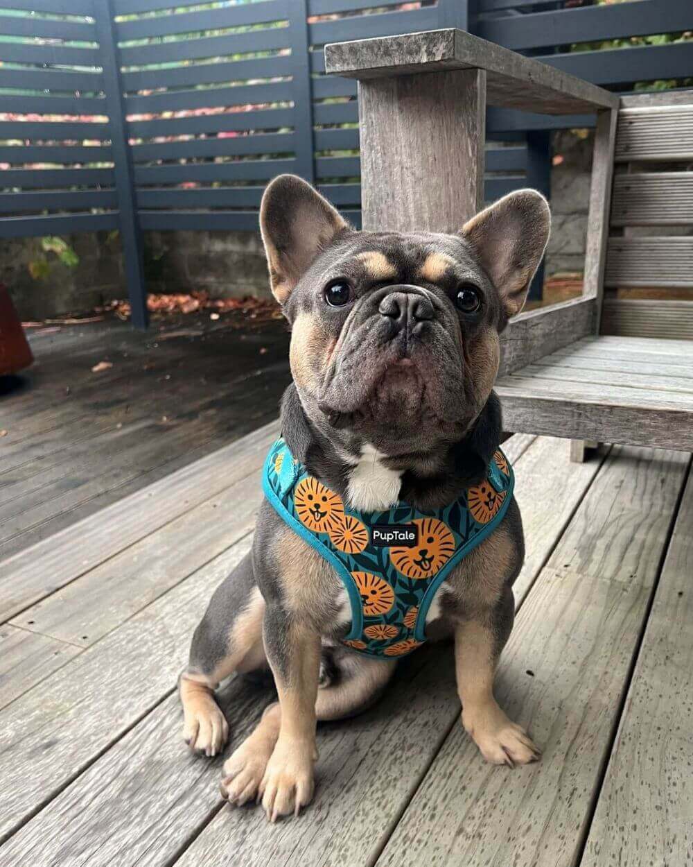 PupTale