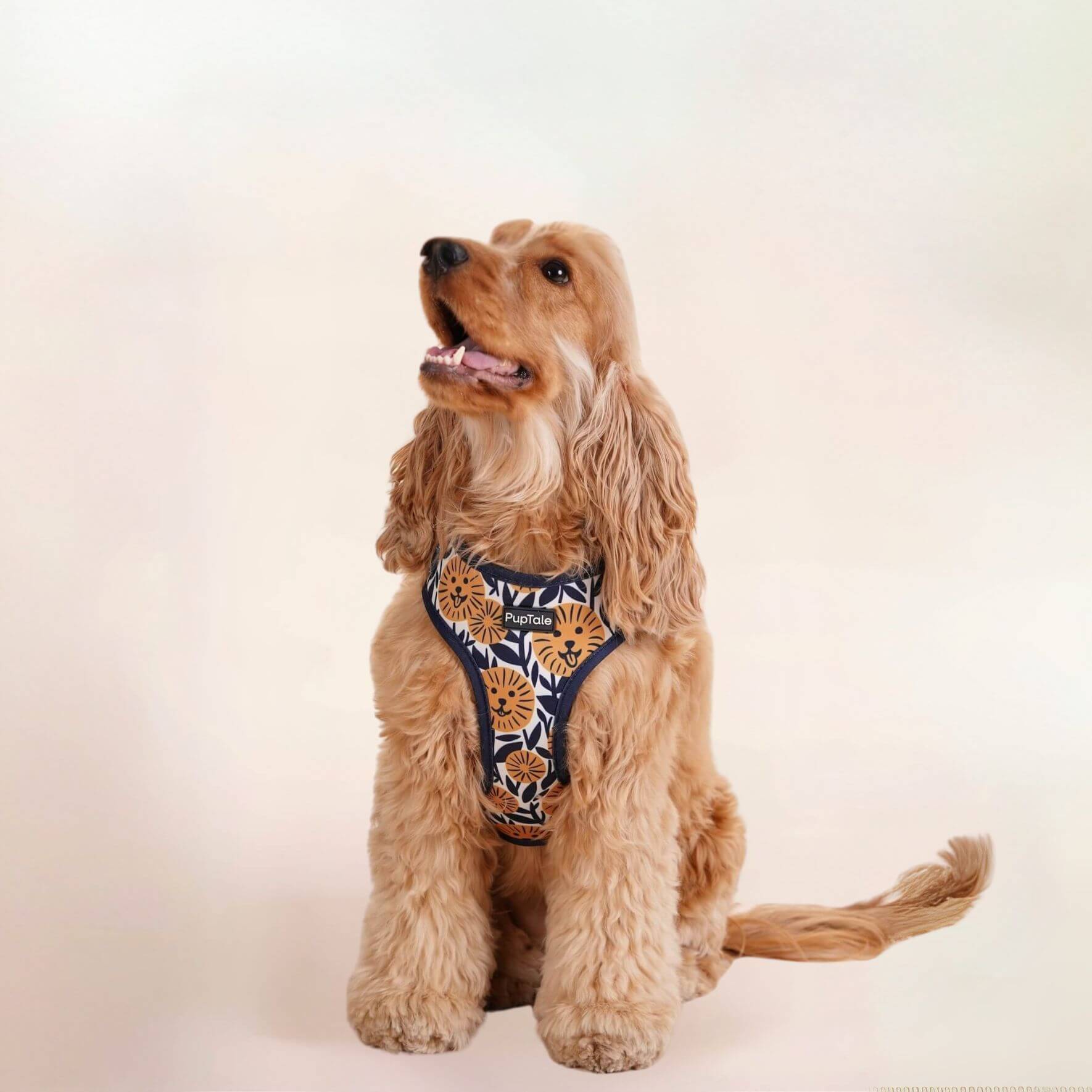 PupTale