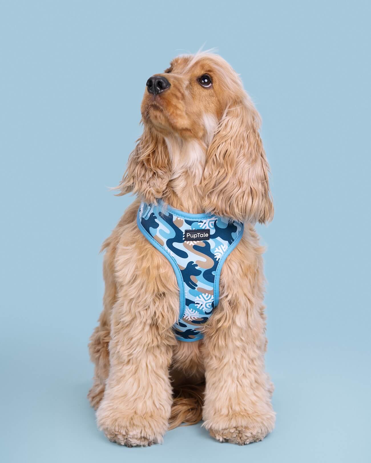 Dog Harness and Leash Set | Winter Snowflake Blue & Brown