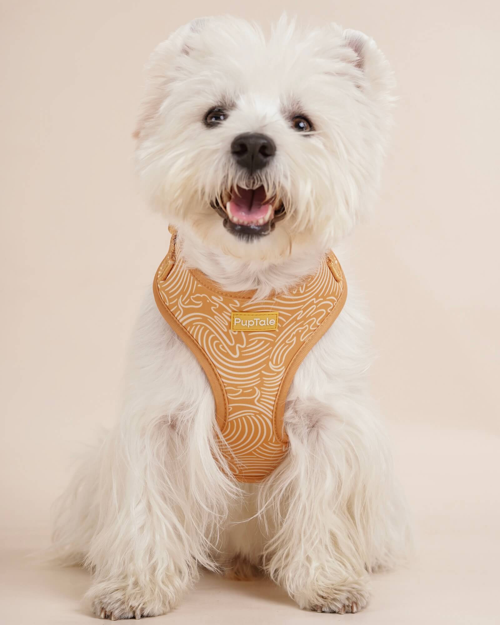 Summer Wave Dog Harness and Leash Set | Gold
