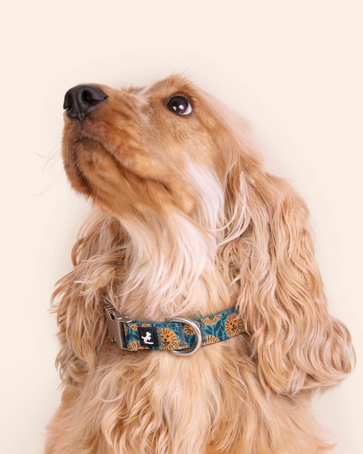 Dog Collar | Spring Sunflower Green & Yellow