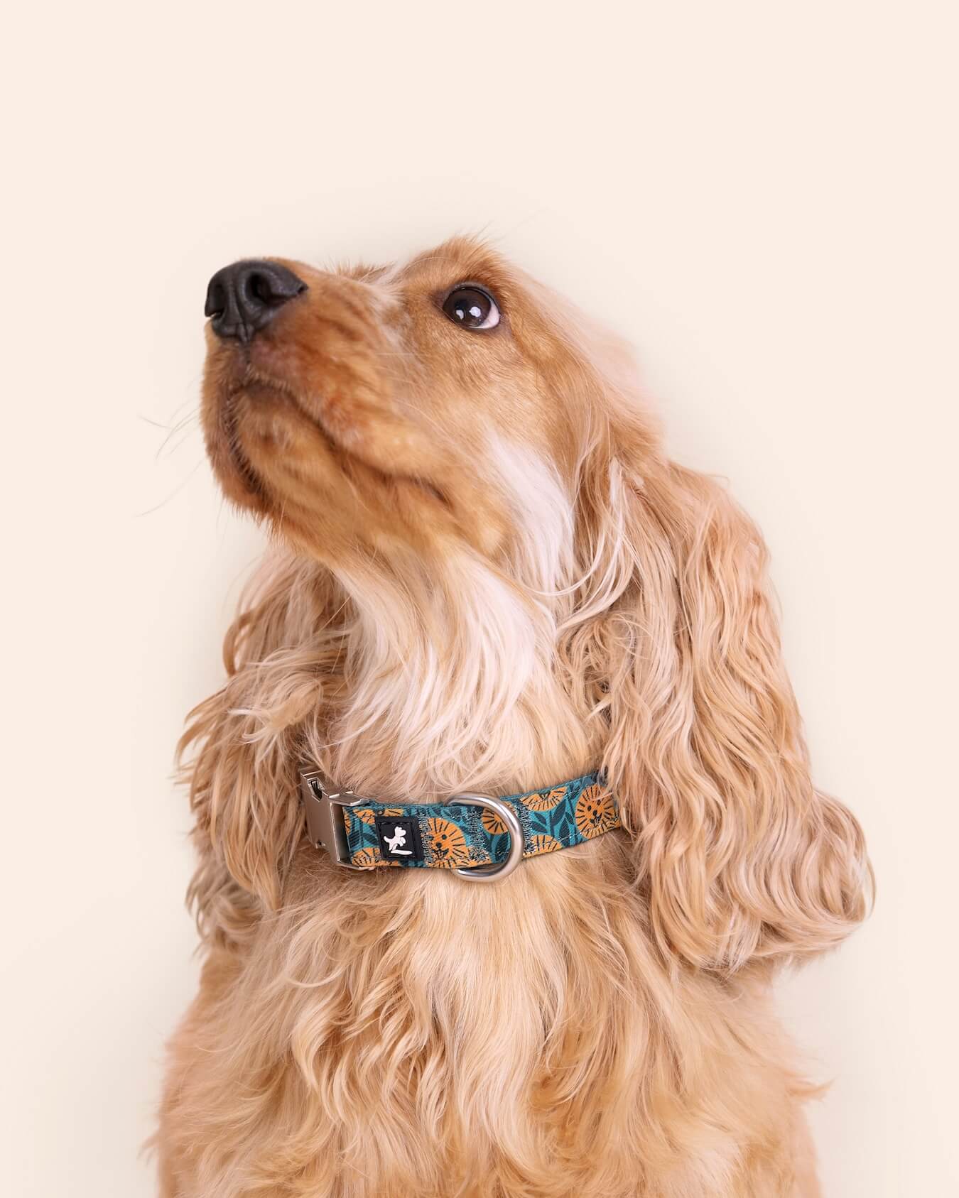 Dog Collar and Leash Set | Spring Sunflower Green & Yellow