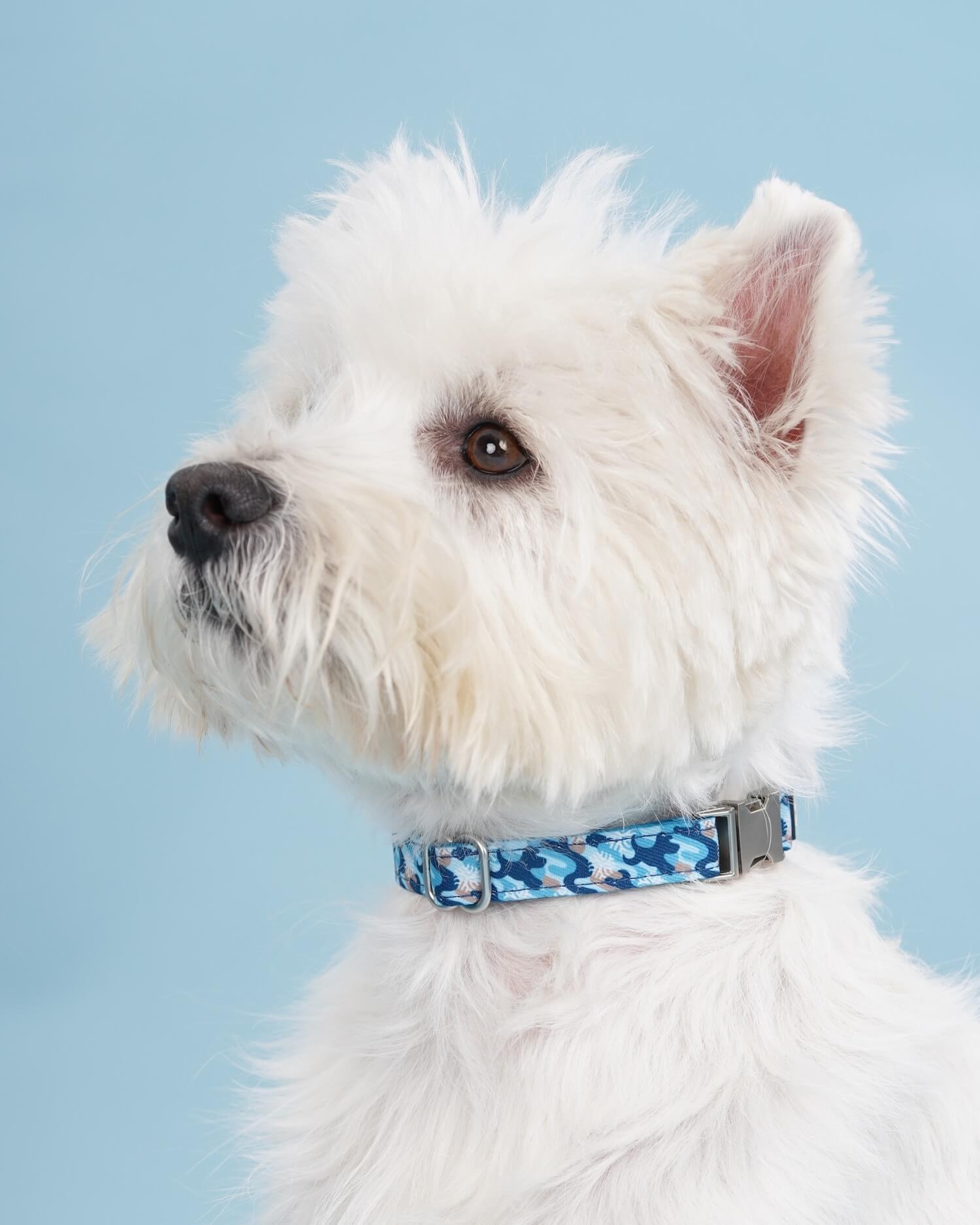 Dog Collar | Winter Snowflake Blue & Brown