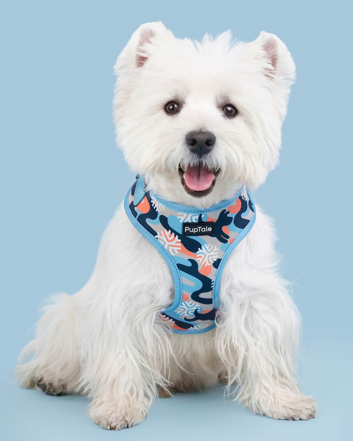 Dog Harness and Leash Set | Winter Snowflake Blue & Orange