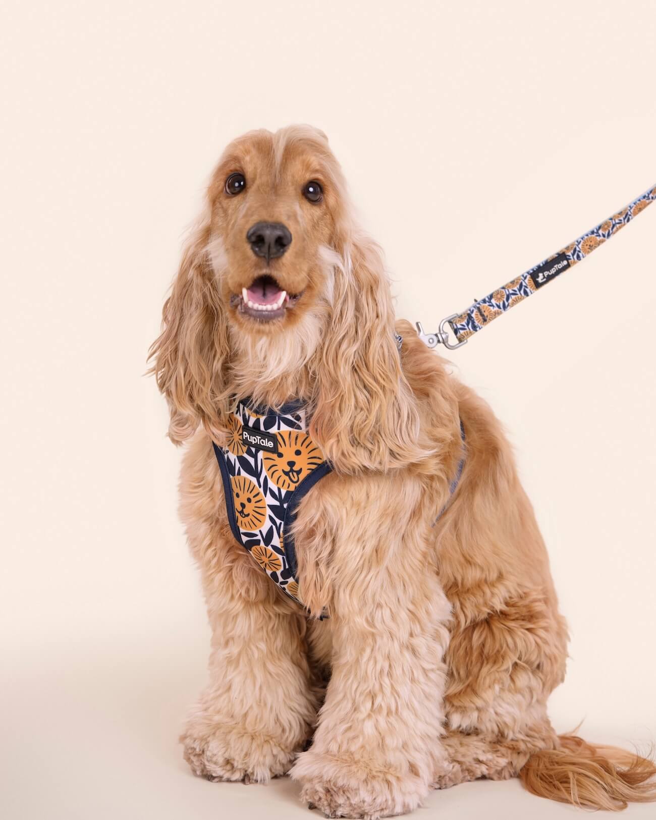 Dog Harness and Leash Set | Spring Sunflower Blue & Yellow