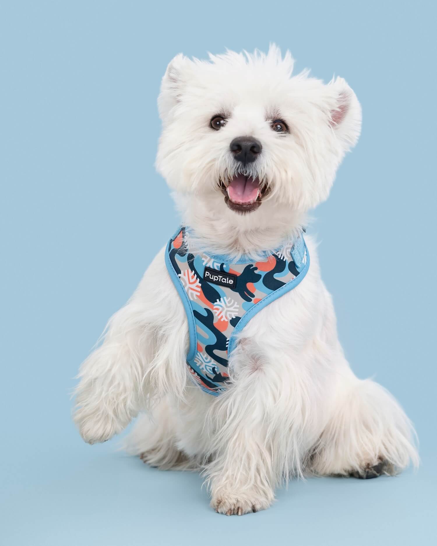 Puppy Harness and Leash | Winter Snowflake Blue & Orange