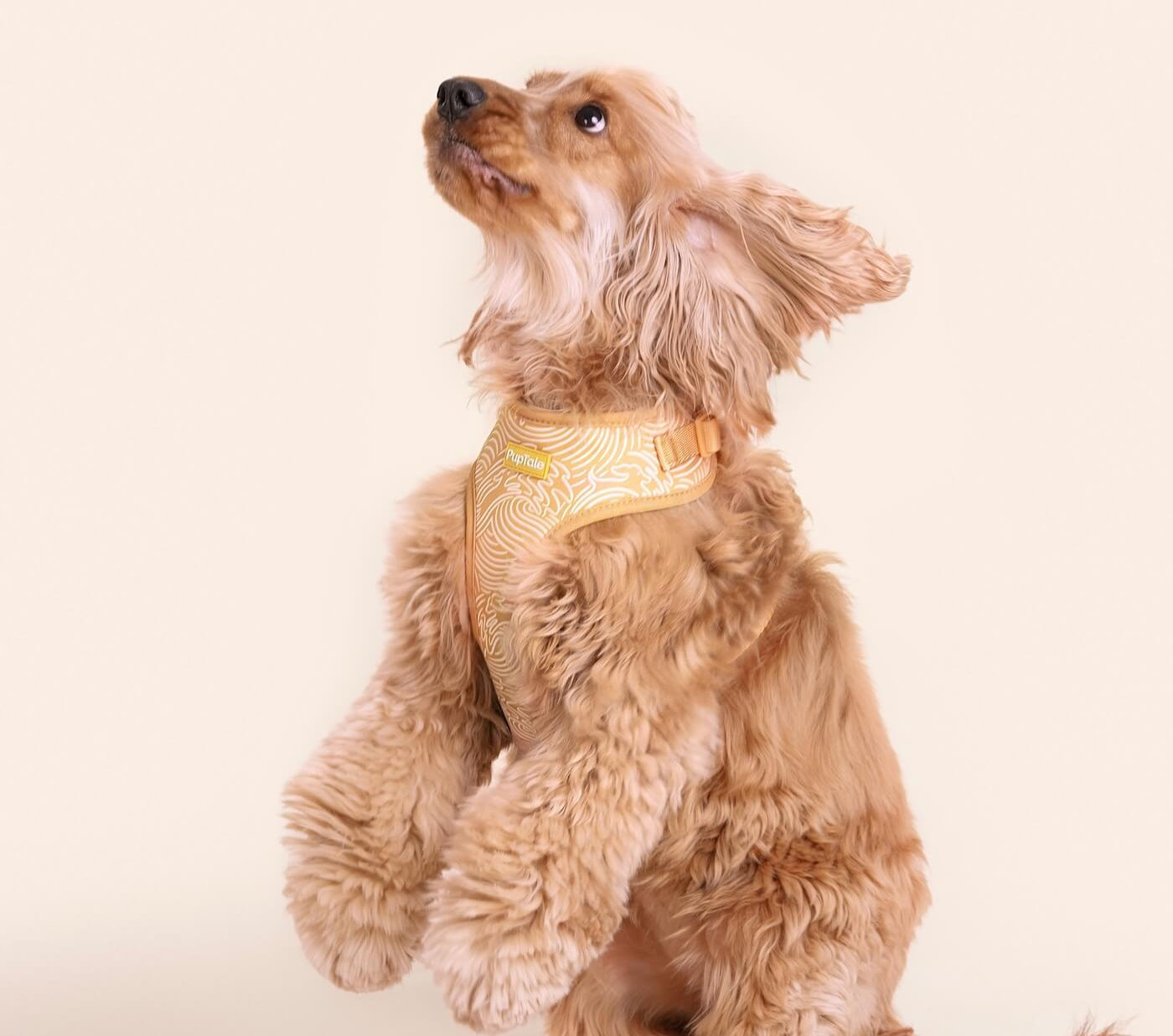 PupTale