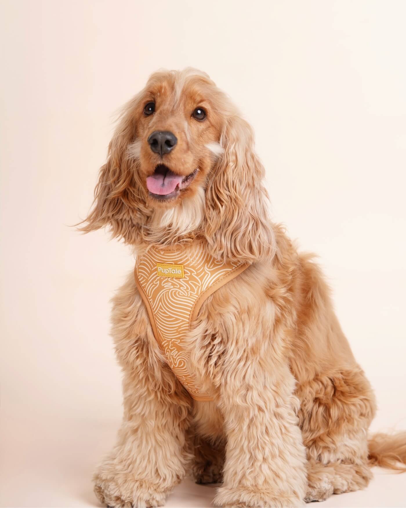Adjustable Dog Harness | Summer Wave Gold