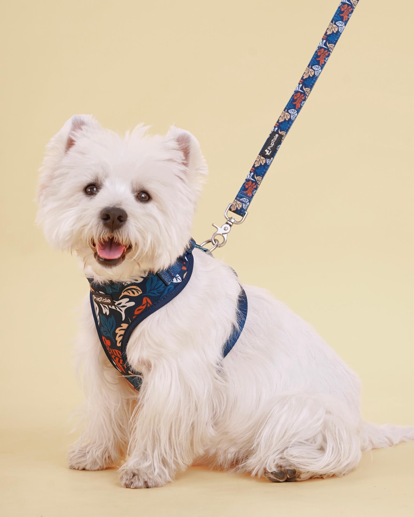 Puppy Harness and Leash | Fall Leaf Blue & Amber