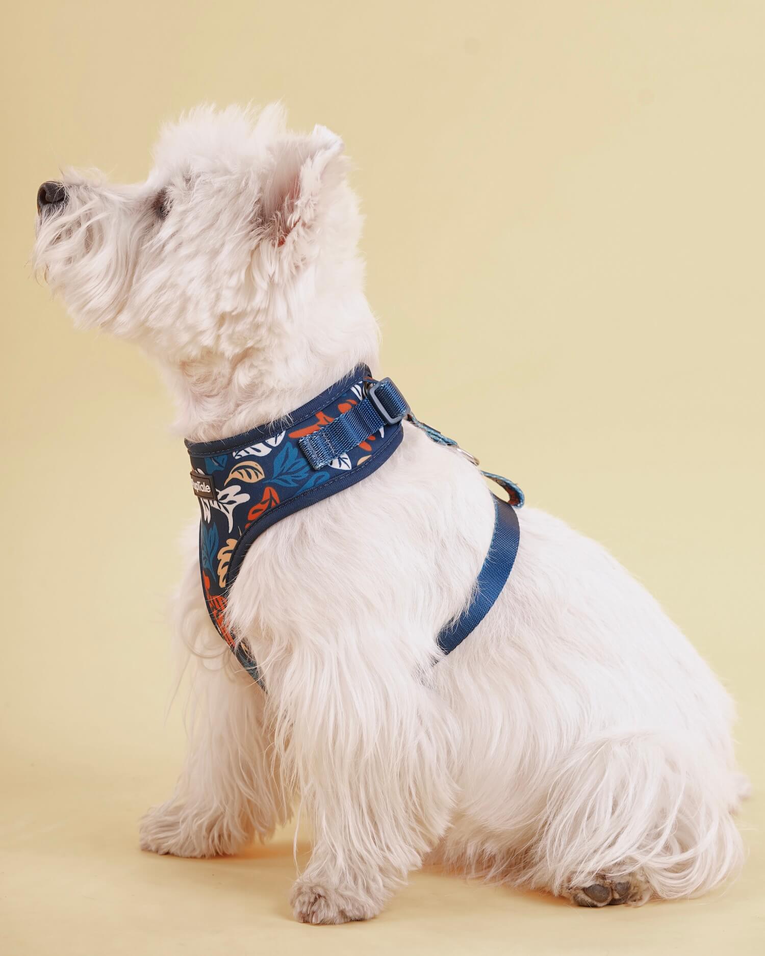 Puppy Harness and Leash | Fall Leaf Blue & Amber