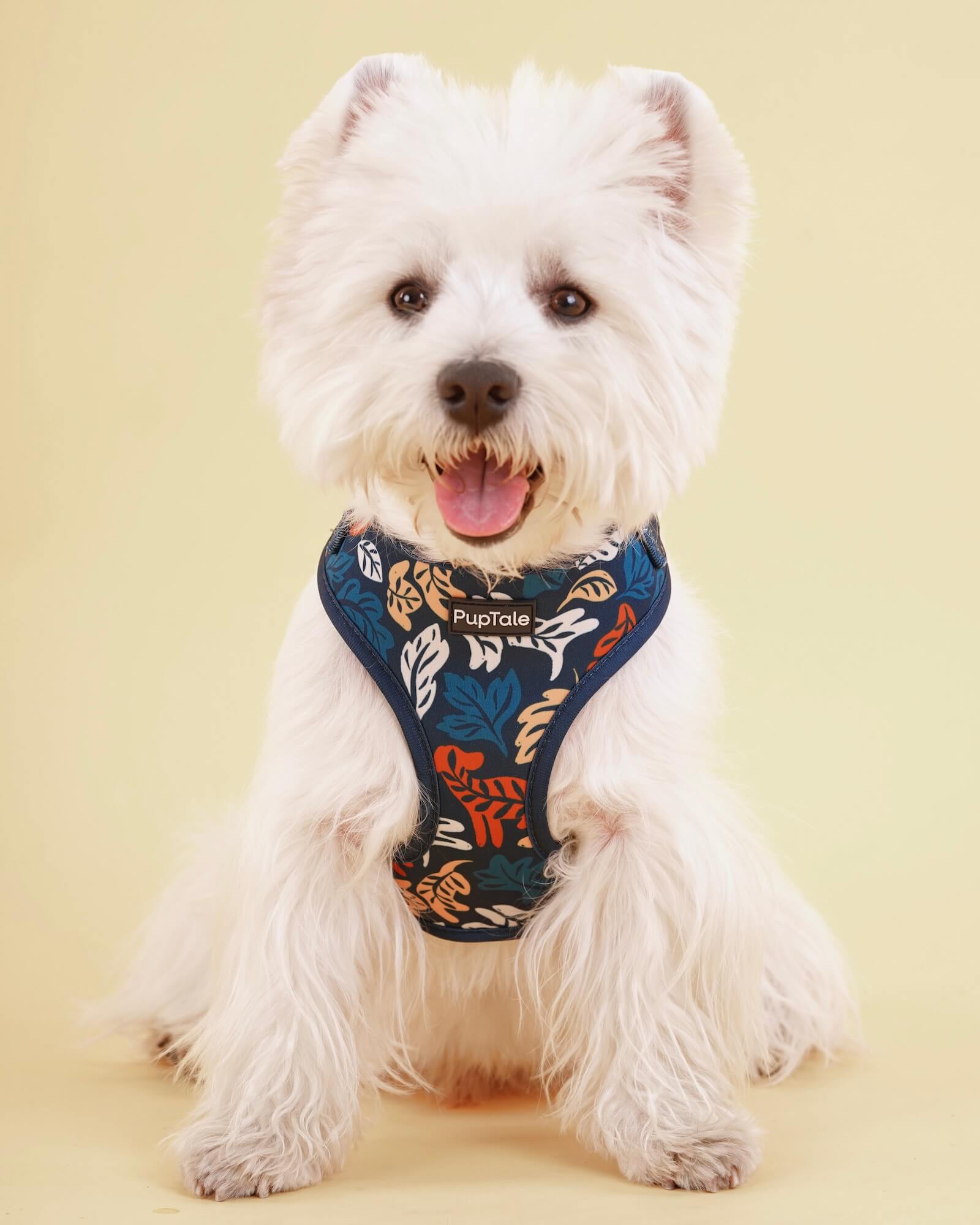 Adjustable Dog Harness | Fall Leaf Blue & Amber