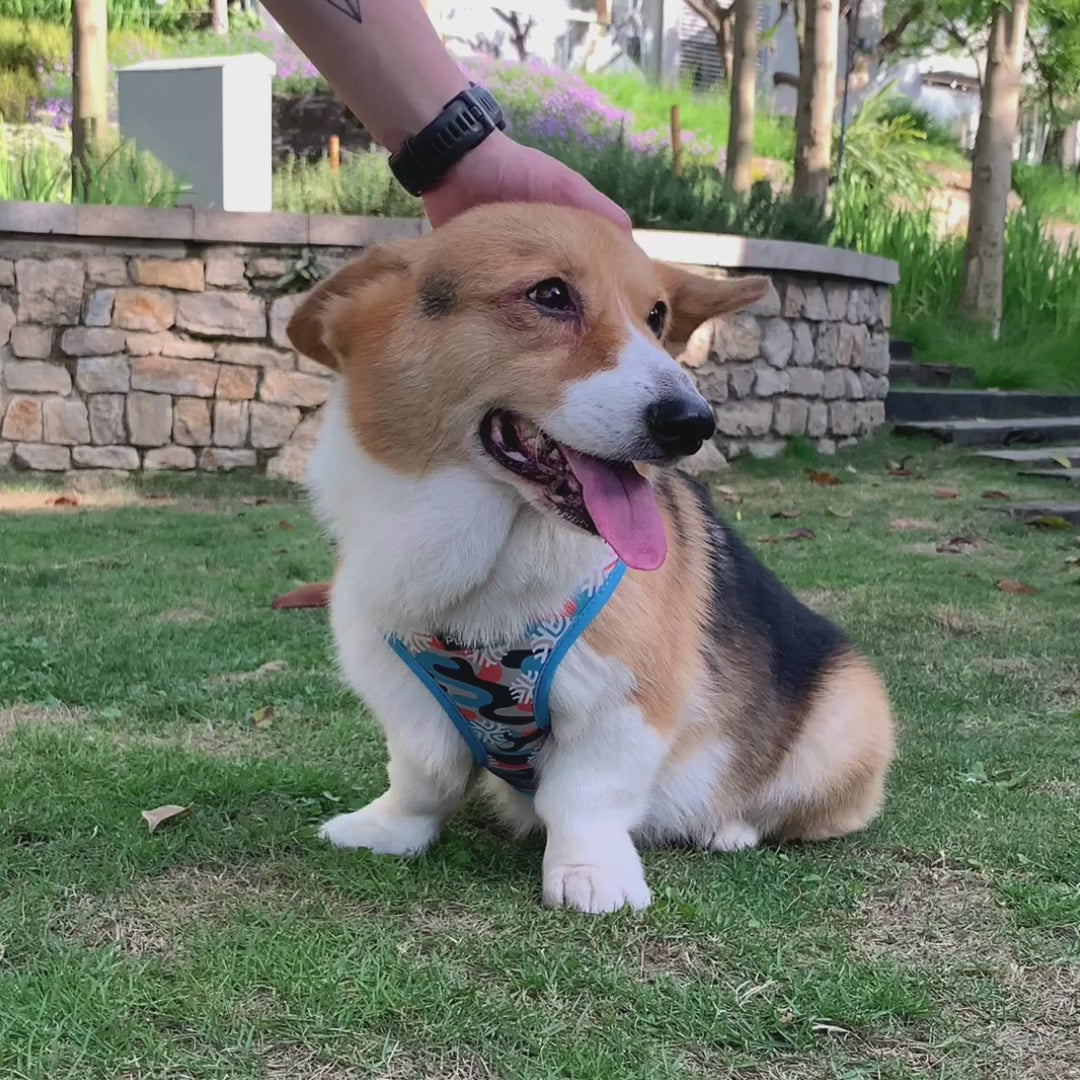 PupTale