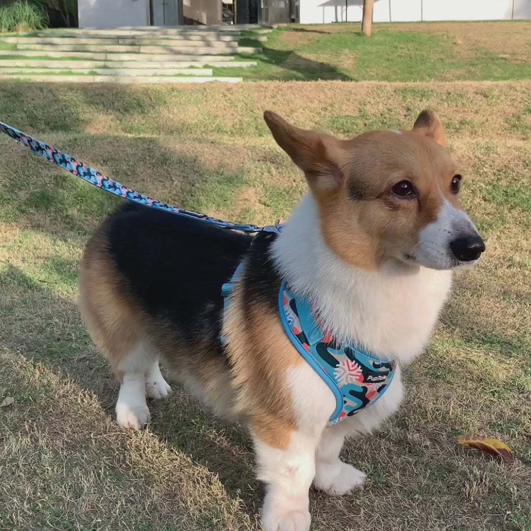 PupTale